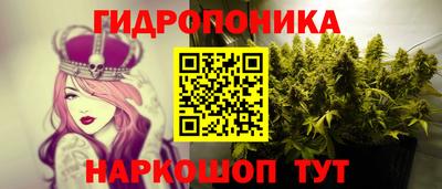 PSILOCYBIN Тверь