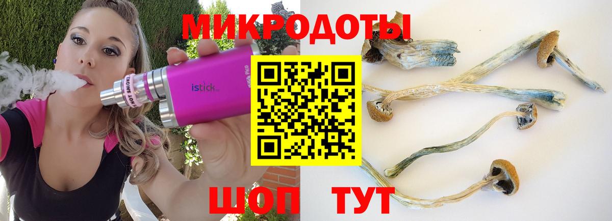Псилоцибиновые грибы мухоморы  Вход с VPN  Отрадный 
